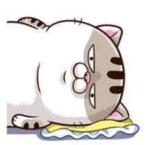 Pin On Meowcos