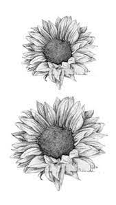 Grace Realistic Black White Sunflower Temporary Tattoo Sunflower Tattoo Thigh Lower Back Tattoos White Sunflowers