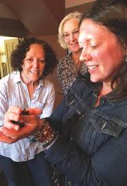 Bats: Our Backyard Friends