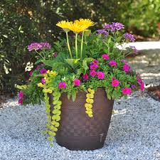 Enjoy flowers indoors or on the front porch with the help of planters and plant pots. 11 Easy Colorful Container Garden Ideas Costa Farms