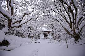京都嵯峨野の常寂光寺の雪景色 雪 景色 京都 雪 京都 嵯峨野