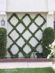 How To Make A Diamond Pattern Espalier Creating A Belgian Fence In 2020 Diamond Pattern Backyard Fence Decor Diy Fence