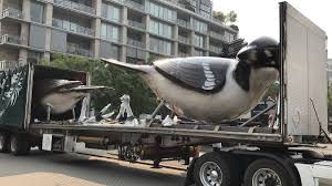 Job interview questions and sample answers list, tips, guide and advice. Olympic Village Birds Return To Roost Vancouver Is Awesome