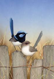Blue Wrens Lyn Cooke Artist Birds Painting Bird Art Bird Drawings