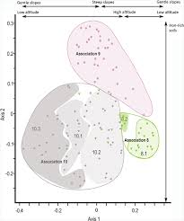 Image result for Hypolytrum heteromorphum