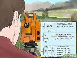 Apply the mixture on the plant's leaves with a sprayer. How To Get Rid Of Cattails 6 Steps With Pictures Wikihow