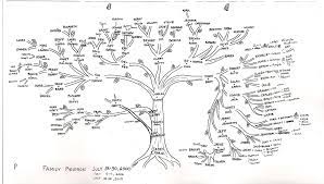 Hand Drawn Family Tree Family Tree Art Draw Family Family Tree