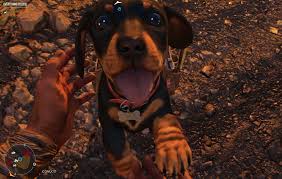 Far cry 6 for pc is set on the fictional caribbean island of yara, a first person shooter in an open world(ish) location. Qidjk14 Rnws9m