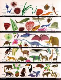 Las Eras Geologicas Del Planeta Tierra Primeros Seres Vivos Organicos La Tierra Dibujo Origen De La Tierra La Tierra Para Ninos