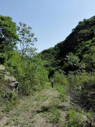 Changements actuels, heures d'ouverture et sujets d'aide. International Federation Of Film Archives