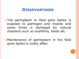 These structures can be found scattered all over the world, established by governments and organizations concerned about crop diversity. Field Gene Bank And Seed Bank Bhavubha