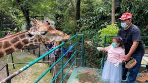 Tiket masuk bukit cinta pemekasan 2021 : Harga Tiket Masuk Kebun Binatang Surabaya Selama Libur Lebaran 2021 Tribun Travel