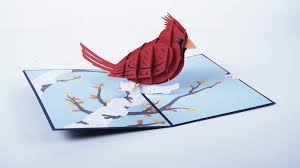 Make birthday memories as bright as burning candles on a cake. Cardinal Pop Up Card Lovepop