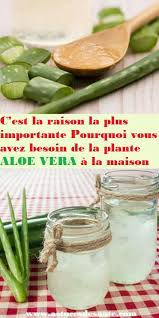 C Est La Raison La Plus Importante Pourquoi Vous Avez Besoin De La Plante Aloe Vera A La Maison Pla Juicing For Health Aloe Vera Juice Recipes Aloe Vera Drink