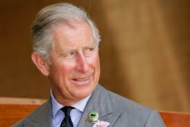 Book review: Rebel Prince: The Power, Passion and Defiance of Prince  Charles by Tom Bower