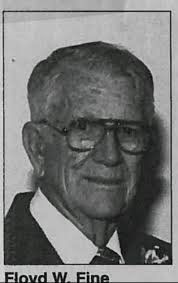 Fine Family History: Last Name Origin & Meaning