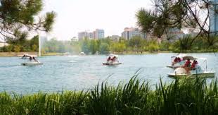 Pin On Activities For Family By Houston
