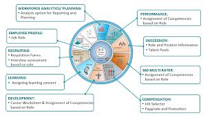 Several steps, processes, and measures of evaluation and appraisals are usually conducted by an employer or a company before they decide on providing bigger job responsibilities to an employee. Sap Successfactors Platform Components Part 4 Job Profile Builder Sap Blogs