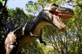 Unser kundenservice hilft ihnen bei allen fragen zu ihrer hotelbuchung gerne weiter. Zoologico De Sao Paulo E Zoo Safari Reabrem Nesta Terca 15 03 Passeios Kids