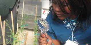 4-H Science Initiative from Inception to Impact: