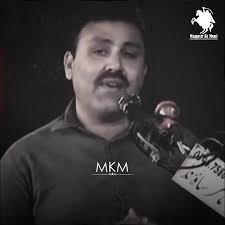 علی عجﷻ دی تلی دے وچ کھڑا ہے 😍♥️ yahussain #yahussainع  #yahussainعُ🙏🏻🚩🚩 #yaabbas #yaabbasع #yaabbasalamdar