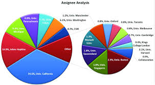 Assignee Analysis Pie Chart Illustration Download