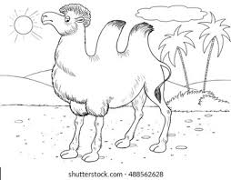 Includes images of baby animals, flowers, rain showers, and more. Zoo Desert Animals Cute Camel Illustration Stock Illustration 488562628