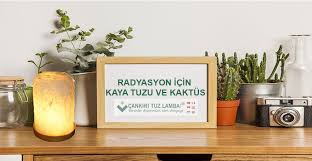 Cankiri Tuz Lambasi Adli Kullanicinin Tuz Lamba Panosundaki Pin Kaktus Tuz Saglikli Yasam
