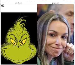 The Grinch and the Grey Goose post in Free Karen Read group