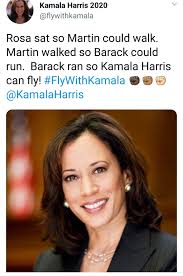 Cutting state and federal funds for diversity inclusion equity programs