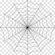 spider web clip art area transparent background transparent png