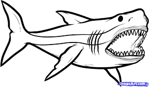How To Draw Megalodon Megalodon Shark Step By Step Dinosaurs Animals Free Online Drawing Tuto Shark Coloring Pages Great White Shark Drawing Shark Drawing Megalodon coloring pictures on mainkeys. how to draw megalodon megalodon shark