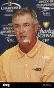 Jack russ hi-res stock photography and images