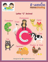 Maybe you would like to learn more about one of these? Letter C Animal Bright Minds Elearning Platform