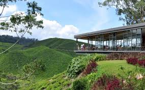 3 galeri disediakan untuk pelawat selain ladang lebah di cameron highland mengeluarkan madu untuk pameran dan jualan kepada pengunjung. Artistic Cafe In Boh Tea Farm Picture Of Cameron Highlands Resort Tanah Rata Tripadvisor