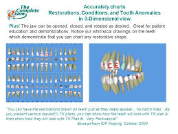 Total Dental Software All Inclusive Patient Charting And