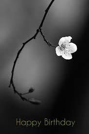 Beauty Black And White Photography Quotes Birthday Wishes Expert Wishes Quotes And Birthday Messages Black And White Photographs White Photography Black And White Pictures