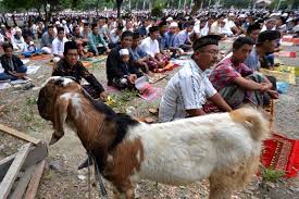 Diantaranya adalah seekor kambing hanya dapat diqurbankan bagi seorang saja, ini pendapat yang sulit dibenarkan. Banzas Terus Kembangkan Komunitas Peternak Kambing Kabar24 Bisnis Com