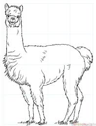 9:48 art for kids hub recommended for you. Llama Head Drawing Drawing Skill