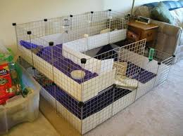 My five piggies live there an enjoy the new space. Homemade Guinea Pig Cage Cheap Buy Online