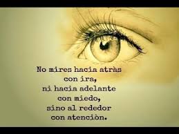 Maybe you would like to learn more about one of these? Frases De Motivacion Para Seguir Luchando Youtube