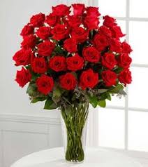 Check spelling or type a new query. 900 Gambar Bunga Terindah Ideas In 2021 Beautiful Flowers Images Beautiful Flowers Photos Planting Roses