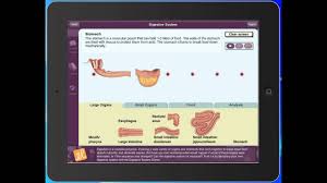 Online library student exploration digestive system gizmo answer keychemicals that work together to break down food, absorb nutrients, and eliminate wastes. Gizmo Answer Key Digestive System Answerstoexam Com