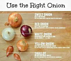 Difference Between Shallots And Onions Google Search With Images Cooking Onions