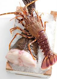 Yellow Green Farmers Market Florida Food Yummy Seafood Man Food
