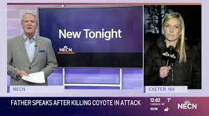 Upload, livestream, and create your own videos, all in hd. Necn Branding And Motion Graphics Gallery