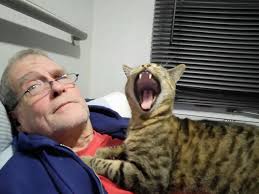 Men with cats... I don't know .