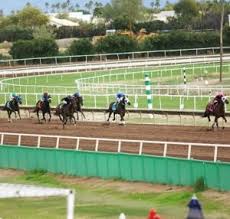 It developed from a primitive contest of speed or stamina between two horses into a spectacle involving large fields of runners, sophisticated electronic. Equestrian Texastrails Org