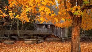 | see more autumn wallpaper, best autumn wallpapers, lonely autumn hd wallpaper, autumn cartoon wallpaper, happy autumn. Autumn Season Hd Wallpapers Wallpaper Cave