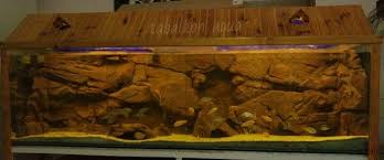 Tabalkon Aqua Akvaryum Fonlari Akvaryum Arkaplanlari Tank Dekorasyon Aquarium Background Akvaryum Dekorasyon